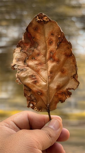 Comment for “ App name “ 🙌🏻🫡 Follow @candy_clickkkk for more tips and tricks . . Edit in lightroom and capcut . . . Tutorial, slow shutter, mobile photography, app name #tutorial #mobilephotography #slowshutterphotography | Prashant Jadon