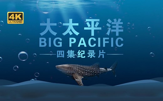 【海洋纪录】4集大型自然类4K超高清纪录片《大太平洋》——讲述与众不同的海洋故事