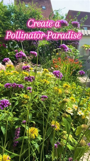Create a Pollinator-Friendly Oasis in Your Garden