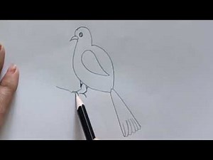 @Birds Drawing for Beginners | Easy Step-by-Step🐦 Tutorial Class Day -1