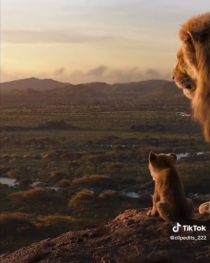 visualprints on TikTok