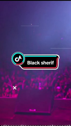 Black Sherif - Kwaku The Traveller Lyrics Video