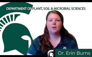 Weed Science: Drs. Erin Burns, Eric Patterson, and Christy Sprague