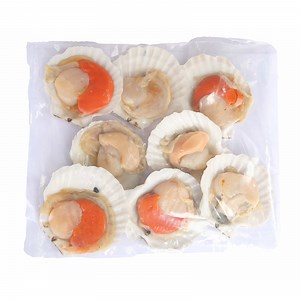 Frozen Half Shell Scallop with Roe - The Ocean Mart