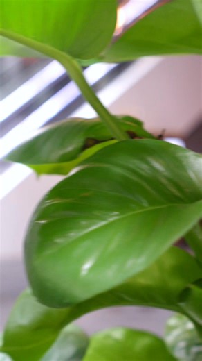 132 reactions | Introducing a smarter way to recycle!  Spot our...