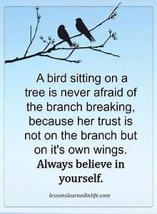 Lessons Learned In Life on Reels