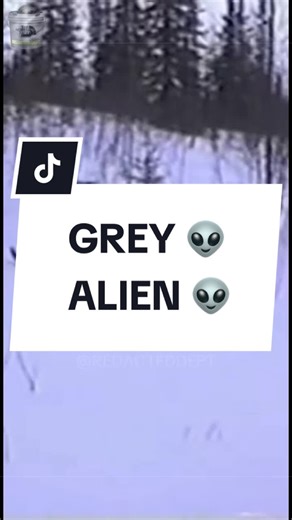 Grey Alien Found Footage 👽📹 👀 *©2026 All Rights Reserved FICTIONAL PARODY • Entertainment Only DMCA Protected • No Reuse* *All visuals, concepts, and edits in this video are original creations. Unauthorized copying, reproduction, or redistribution of this content is not permitted without permission.* *⚖️ LEGAL NOTICE (Under Advice of Legal Counsel): THIS IS 100% SATIRE / PARODY / ENTERTAINMENT ONLY — wild exaggeration, jokes, & fictional conspiracy comedy for laughs. NOT real facts, analysis,