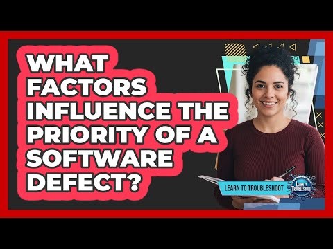 What Factors Influence the Priority of a Software Defect?