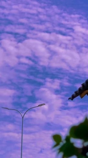 Emotional Cartoon Frog Video: A Sad Reunion