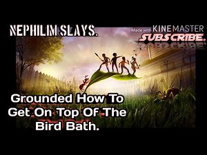 Grounded How To Get Onto The Bird Bath.