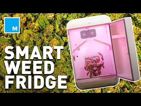 This Smart Fridge Grows Weed At Home