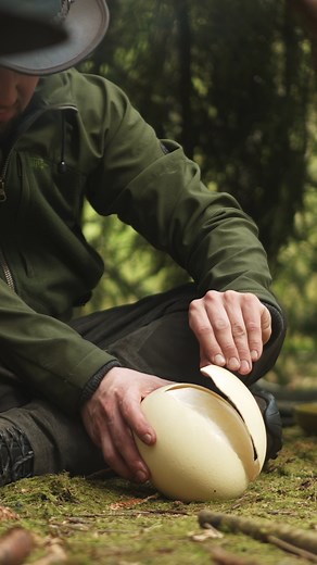 Next chapter: (Almost) Easter Egg🐣 #nature #firekitchen #outdoorcooking | Fire Kitchen