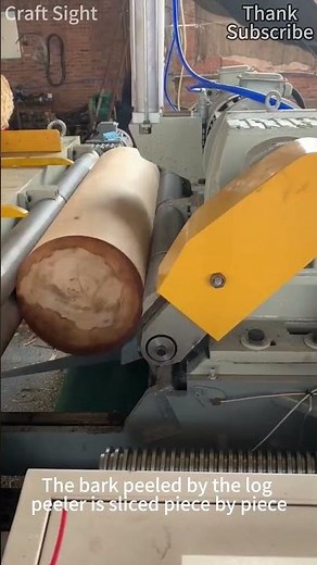 The bark removed by the log debarker is neatly cut into thin slices of the same size