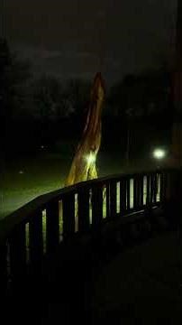 Night sounds at the manor. ASMR.