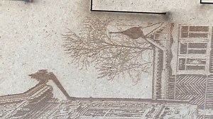 5.1K views · 32 reactions | En Diversos tamaños de CNC laser puedes grabar madera, maquinas de 60x40 90x60 1,2x90 1,6x1 y 1.3x2,5 son los tamaños standart de trabajo Con potencias de corte de 80w 100w 130w 150w y 180w. ¿Que medida y potencia necesitas? | TIMG | Facebook