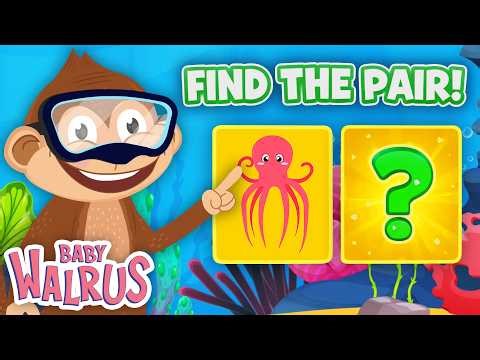 Matching Pair Game - Sea Animals | Can You Find the Match? 🐬 Educational Series for Babies 0–2