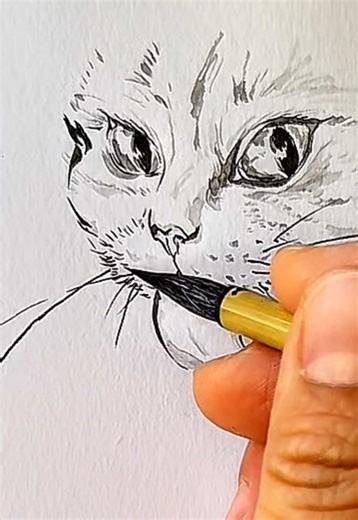 Ink Sketch Series · Animal 11 #inkdrawing #animalart #sketchbook #drawingprocess #yanglinart