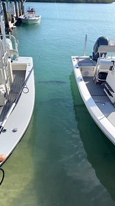 Florida Keys Baby Living The Dream 🔥 #tarpon #floridakeys #saltlife #fishing #livebait #snook #shrimp #keys #keylargo #wyldlife #floridafishing | Pineland Productions