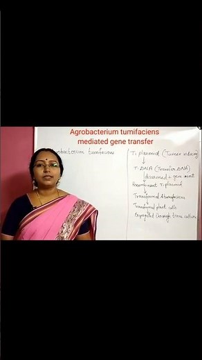 Agrobacterium tumifaciens mediated gene transfer | Ti plasmid #neet2026 #neetbiology