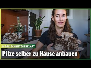 So züchtest du essbare Pilze zu Hause | Im Beet mit Blick | Folge 27