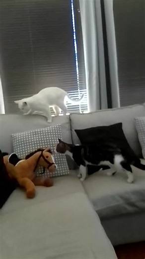 My Food Island Way (@myfoodislandway0)’s videos with Sacrifice of Praise - Josué Novais Piano Worship