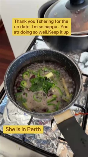 Gut Health Weight Loss Program Success Stories