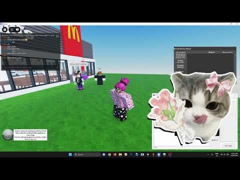 Project Ligma Testing