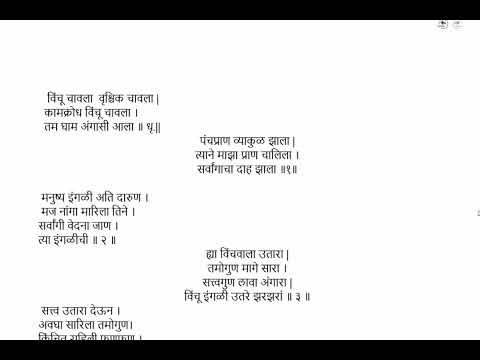 12th Marathi HSC Board 2026 | Important Questions & IMP Paper #12th #hsc2026 #maharashtraboard