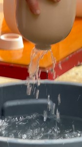 This is how I like to clean pots off getting them ready to glaze. They pretty much get saturated with water. The sponge takes off any dust and the water gets anything that might have fallen into the inside. Obviously, I’m not in a major hurry to get glaze on them. . . . www.tiltonpottery.com/ #ceramic #pottery #clay #studiopotter #handcrafted #handmade #keramika #craft #form #artist #porcelain #crystalline #glaze #handmade #vase #wheelthrown #vessel #porcelain #finecraft #macrocosm #keramik #mic