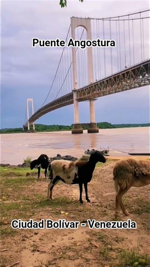 Puente Angostura... Ciudad Bolívar - Ciudad Orinoco - Venezuela