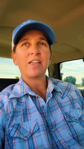 Horse Problems Part 2 | Alternative Horsemanship the Remote Horse Coach