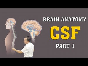 Brain Anatomy - CSF - Part 1 #brainanatomy