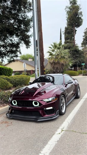 Phase 4 of Ford Performance: The New Mustang S550