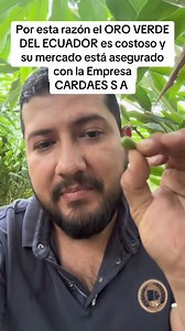 Se parte del cultivo no tradicional mas Rentable del Ecuador, el Oro Verde llamado cardamomo puede llegar a producir de ingresos Hasta 10.800 por Hectárea por año, Además garantizamos la compra de toda la producción con un contrato por 10 años donde incluye el asesoramiento técnico total mente GRATIS | Cardamomo y Especias del Ecuador Cardaes SA