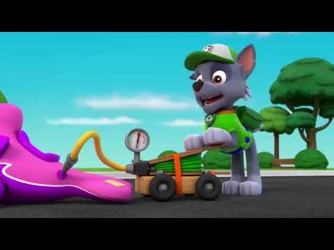 Pups Save a Dolphin Pup-clip9