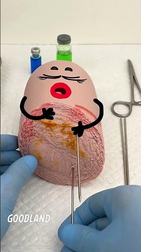 Can Doodles Really Master Fruit Surgery in Just 1 Hour?