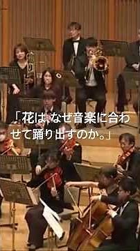 バレエ音楽「くるみ割り人形」より『花のワルツ』抜粋。チャイコフスキーが描いた、花々の祝祭。優雅なワルツが次第に大きく花開き、オーケストラ全体がまるで色とりどりの花園のように輝き始めます。