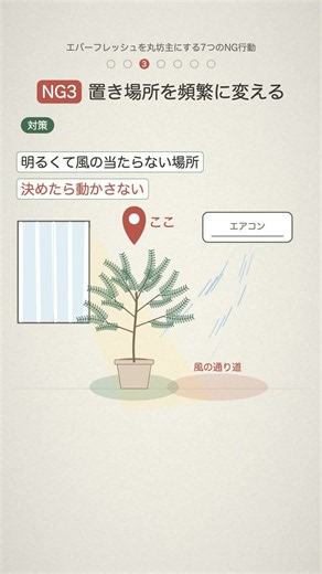 エバーフレッシュ、模様替えのたびに動かしてない？ #shorts