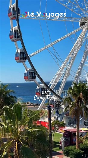 🇿🇦 Afrique du Sud – Découverte & Safari 🌍 Johannesburg • Sun City • Kruger • Cape Town ✈️ voyage du 27 novembre au 8 decembre 2025 🏨 Hôtels 4★ & 5★ – circuit complet francophone 🦁 Safaris, shopping, dégustations, paysages à couper le souffle 💬 Demandez le programme complet dès maintenant ! 💰 TARIFS Tarif Standard : 10 850 TND Nouvelle offre spéciale : 10 550 TND (valable uniquement pour les 4 prochaines réservations confirmées) Tarif Early Booking : 10 350 TND (déjà épuisé) 🏨 Vos hôtels 