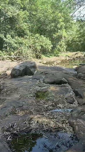 Elangoi kadavu #jaykar #travel #tour #tourism