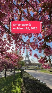 Cherry Blossoms Eiffel Tower Paris March 26 2026