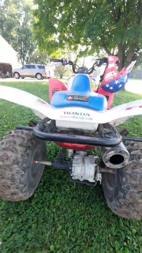 #trx250x new whip