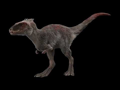 Moros Intrepidus Sound Effects