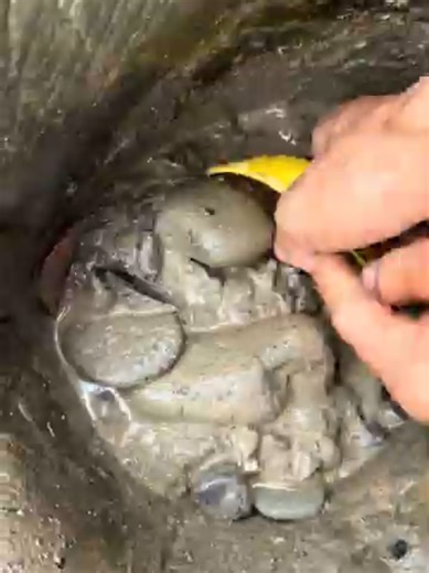 DIY Gold Finding Techniques: A Comprehensive Guide