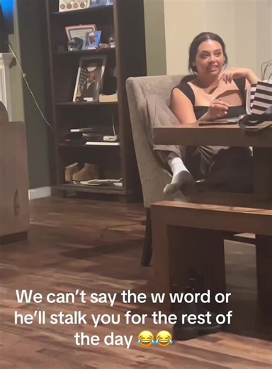 Enjoy a Fun Walk with Your Dog