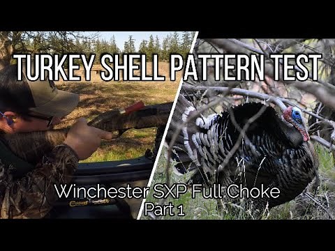 Turkey Hunting Pattern Testing Winchester SXP | Getting Ready For Turkey Season! Part 1