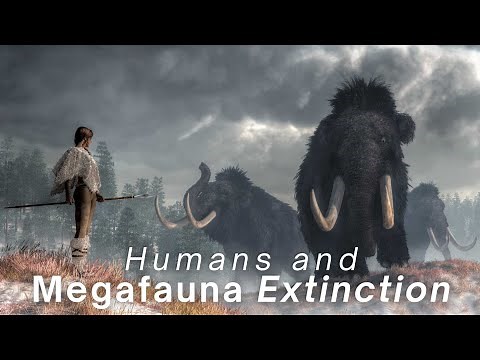 Did Humans wipe out Megafauna?