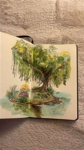 Weeping willow tree #sketchbook #art