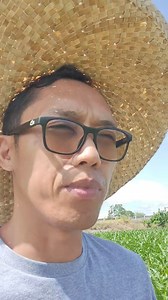 PAANO ANG DISKARTE KO SA UOD NA FAW @topfans Sotto tv10 #fbreels23 #highlightsシ゚ #fbreelsfypシ゚viral #fbreels #fbreelsvideo #gofarmtv #fbshorts #highlight | GoFarm TV