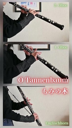 【吹いてみた🎄】#youtubeshorts #shorts #oboe #オーボエ #christmas #ochristmastree #otannenbaum #もみの木 #多重録音